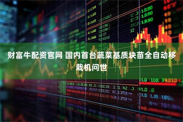 财富牛配资官网 国内首台蔬菜基质块苗全自动移栽机问世